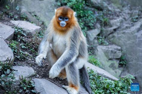 玉合公園怎麼樣？游覽體驗與特色分享